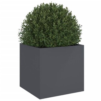 Plantenbak 49x47x46 cm koudgewalst staal antracietkleurig 4