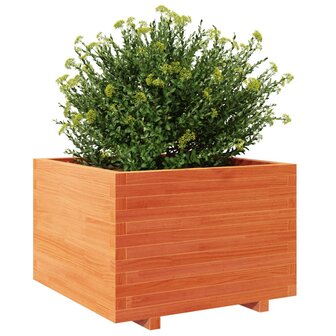 Plantenbak 70x70x49,5 cm massief grenenhout wasbruin 4