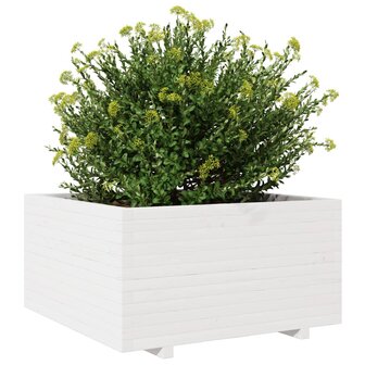 Plantenbak 90x90x49,5 cm massief grenenhout wit 4