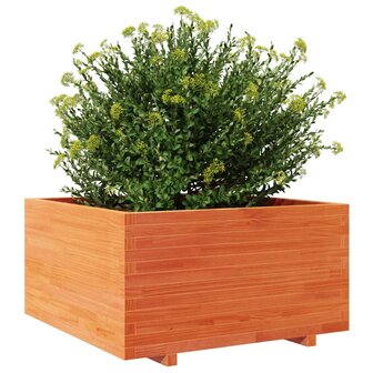 Plantenbak 90x90x49,5 cm massief grenenhout wasbruin 4