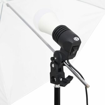 Fotostudioset met verlichtingsset en achtergrond 6