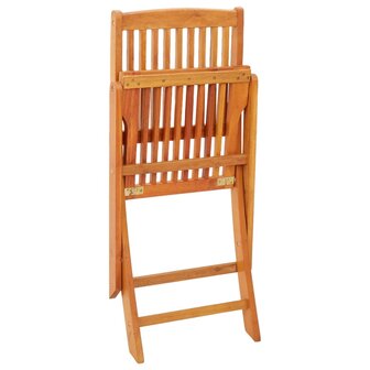 Tuinstoelen 2 st inklapbaar massief eucalyptushout 6