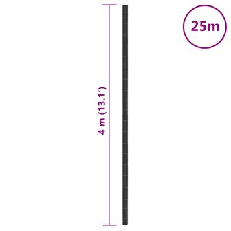 Worteldoek 4x25 m polypropeen zwart 8