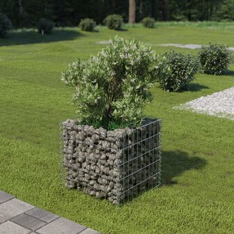 Gabion plantenbak verhoogd 50x50x50 cm gegalvaniseerd staal 1