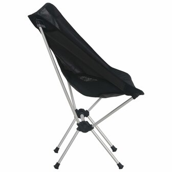 Campingstoelen 2 st met draagtas 54x50x65 cm aluminium 3