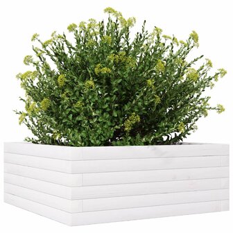 Plantenbak 60x60x23 cm massief grenenhout wit 4