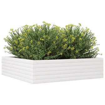 Plantenbak 90x90x23 cm massief grenenhout wit 4