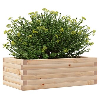 Plantenbak 70x40x23 cm massief grenenhout 4