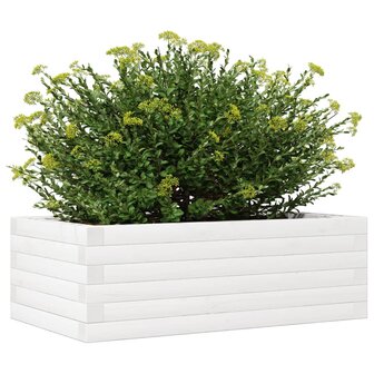 Plantenbak 70x40x23 cm massief grenenhout wit 4