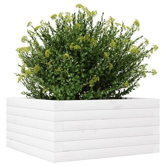 Plantenbak 50x50x23 cm massief grenenhout wit 4