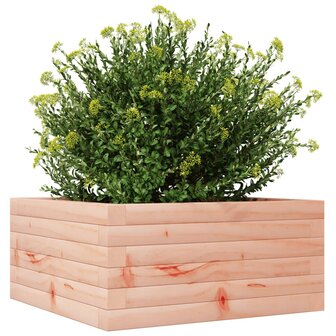 Plantenbak 50x50x23 cm massief douglashout 4