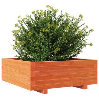 Plantenbak 70x70x26,5 cm massief grenenhout wasbruin 4