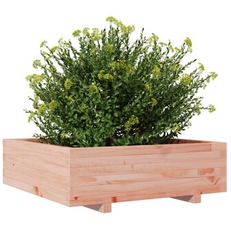 Plantenbak 80x80x26,5 cm massief douglashout 4