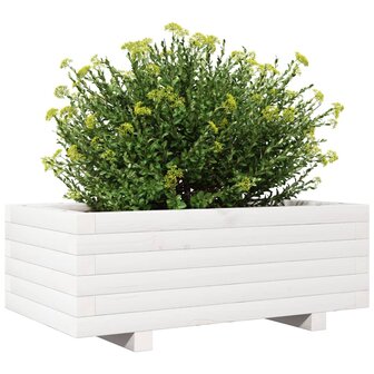 Plantenbak 70x40x26,5 cm massief grenenhout wit 4