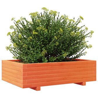 Plantenbak 90x60x26,5 cm massief grenenhout wasbruin 4