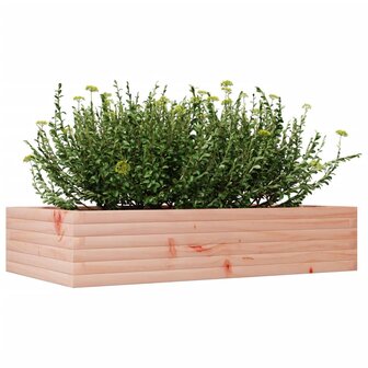 Plantenbak 110x60x23 cm massief douglashout 4