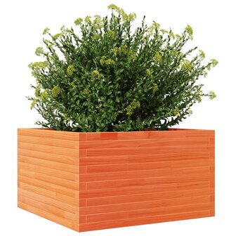 Plantenbak 80x80x45,5 cm massief grenenhout wasbruin 4