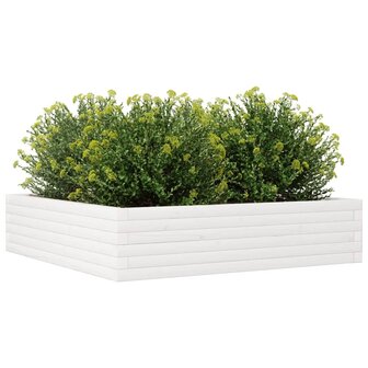 Plantenbak 100x100x23 cm massief grenenhout wit 4