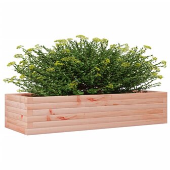 Plantenbak 110x40x23 cm massief douglashout 4