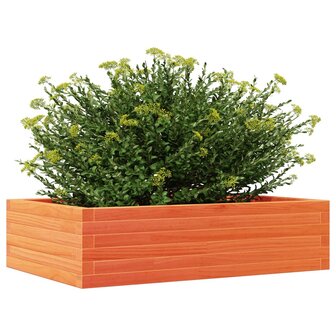 Plantenbak 90x60x23 cm massief grenenhout wasbruin 4