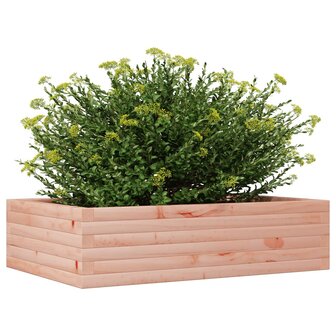 Plantenbak 90x60x23 cm massief douglashout 4