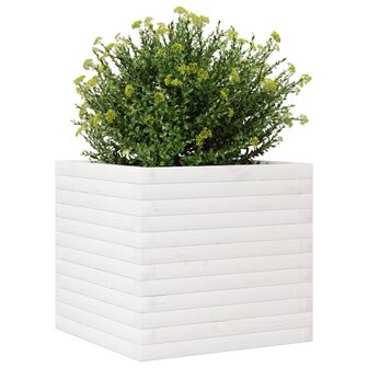 Plantenbak 50x50x45,5 cm massief grenenhout wit 4