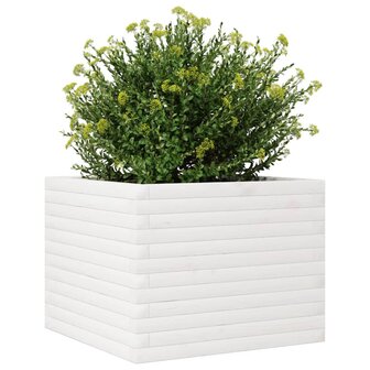 Plantenbak 60x60x45,5 cm massief grenenhout wit 4