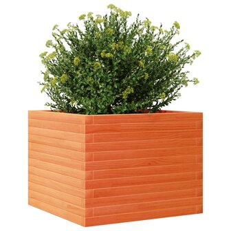 Plantenbak 60x60x45,5 cm massief grenenhout wasbruin 4