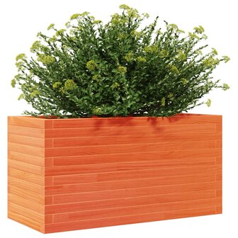 Plantenbak 90x40x45,5 cm massief grenenhout wasbruin 4