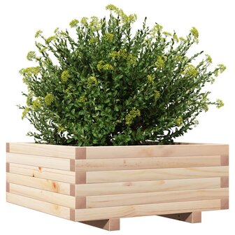 Plantenbak 60x60x26,5 cm massief grenenhout 4