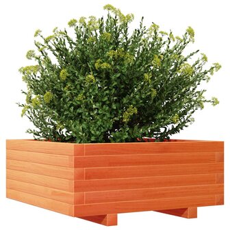 Plantenbak 60x60x26,5 cm massief grenenhout wasbruin 4