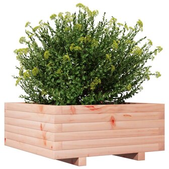 Plantenbak 60x60x26,5 cm massief douglashout 4