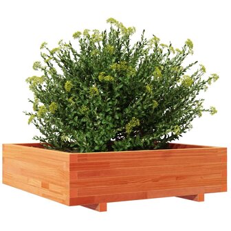 Plantenbak 90x90x26,5 cm massief grenenhout wasbruin 4