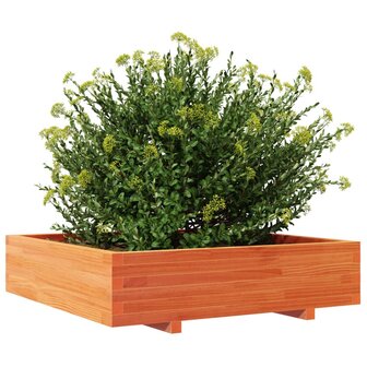 Plantenbak 100x100x26,5 cm massief grenenhout wasbruin 4