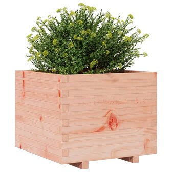 Plantenbak 60x60x49,5 cm massief douglashout 4