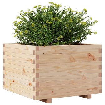 Plantenbak 70x70x49,5 cm massief grenenhout 4