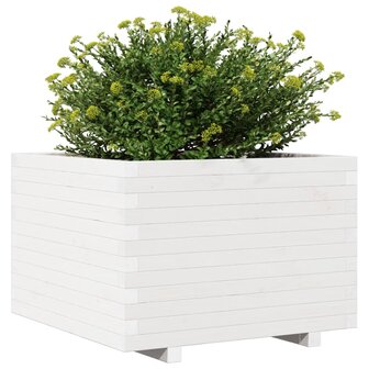 Plantenbak 70x70x49,5 cm massief grenenhout wit 4