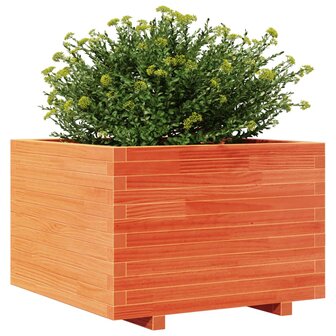 Plantenbak 70x70x49,5 cm massief grenenhout wasbruin 4