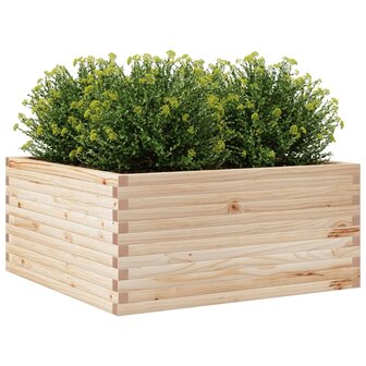 Plantenbak 100x100x46 cm massief grenenhout 4