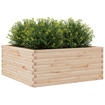 Plantenbak 110x110x46 cm massief grenenhout 4