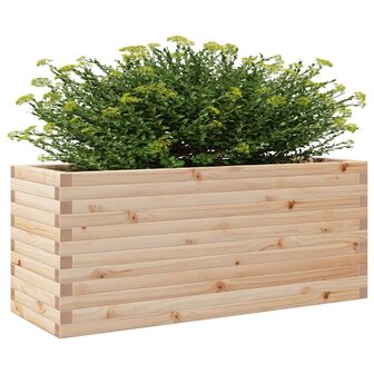 Plantenbak 110x40x46 cm massief grenenhout 4