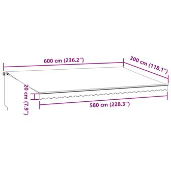 Luifel handmatig uittrekbaar 600x300 cm bordeauxrood 9