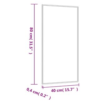 Wandspiegel 40x80 cm rechthoekig glas 6