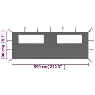 Prieelzijwand met ramen 6x2 m antracietkleurig 4