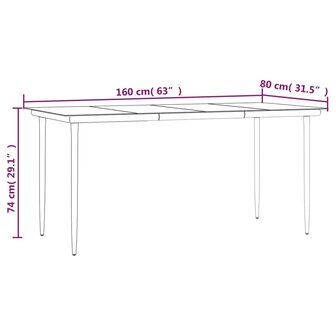 Tuintafel 160x80x74 cm staal en gehard glas zwart 7