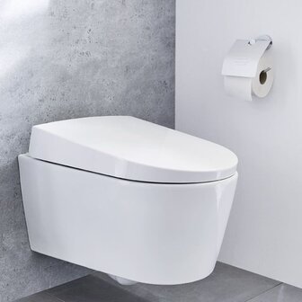 Kleine Wolke Toiletrolhouder met deksel Apollo aluminium 1