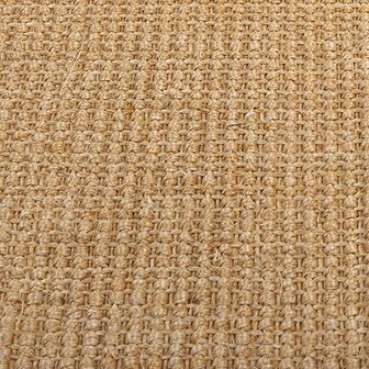 Vloerkleed 80x100 cm natuurlijk sisal 4