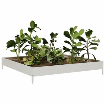 Plantenbak verhoogd 100x100x18,5 cm roestvrijstaal 3