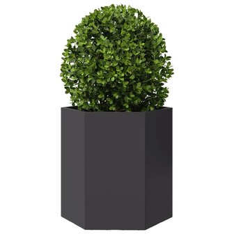 Plantenbakken 2 st zeshoek 46x40x45 cm staal zwart 5