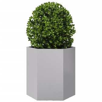 Plantenbakken 2 st zeshoek 46x40x45 cm gegalvaniseerd staal 5